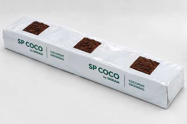SP Coco グローバッグ